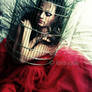 Ornithophobia II