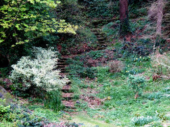 Garden Stair