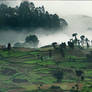 Kodaikanal Sightseeing