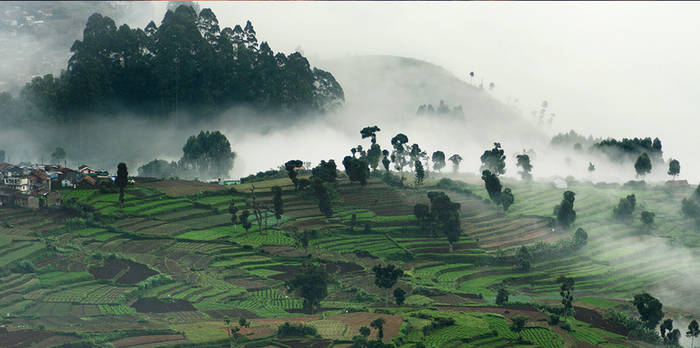 Kodaikanal Sightseeing