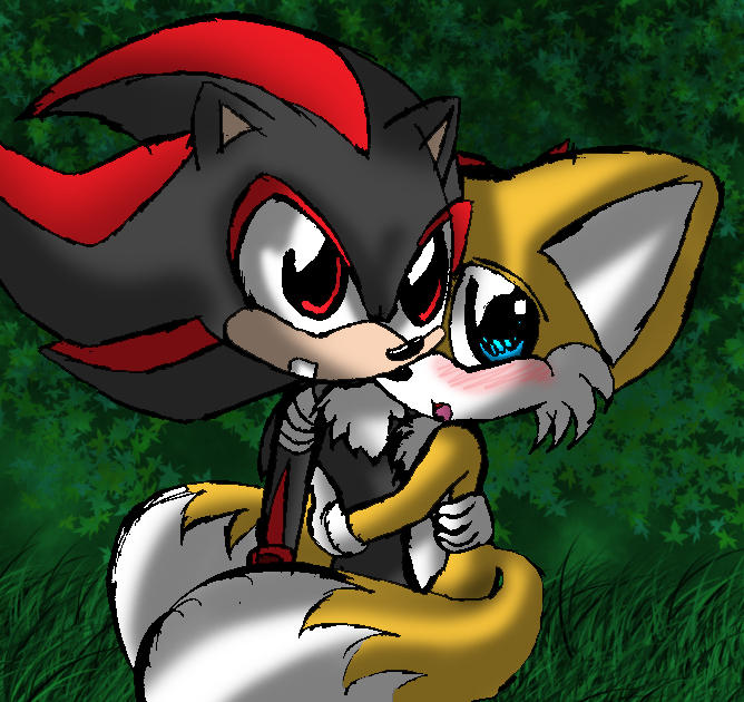 Shadowfriendly Deviantart Tails Tails and Shadow by ArcticCryptid on DeviantArt