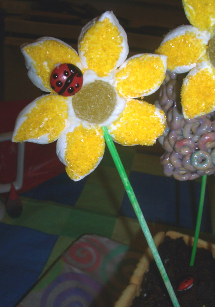 Marshmallow flower closeup