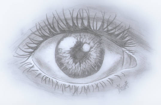 Eye