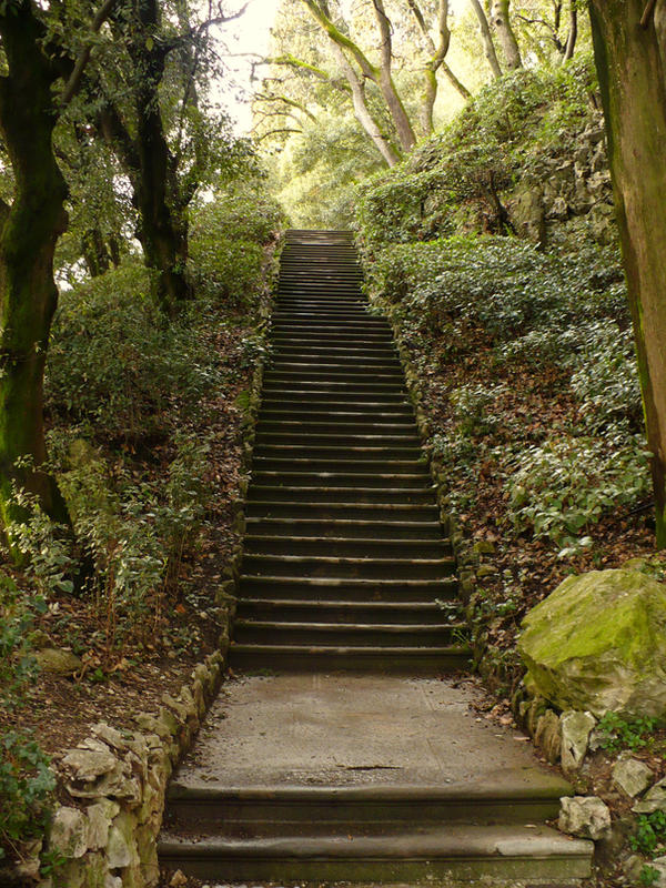 Stone Stairs in a Garden-Stock