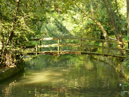 The Garden of Monet_Stock