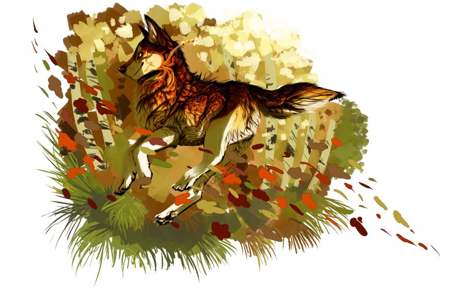 Autumn wolf