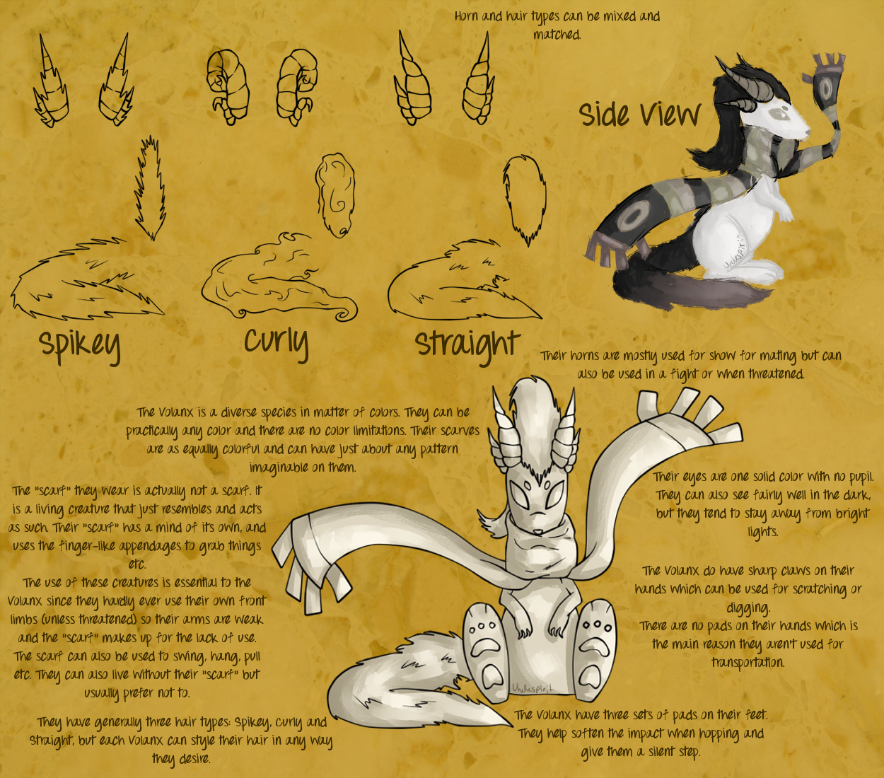 Volanx Ref Sheet [Now Open]