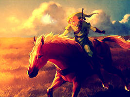 On Hyrule field