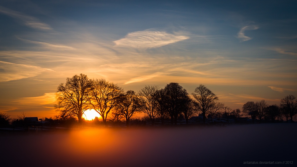 fog,snow and the sun