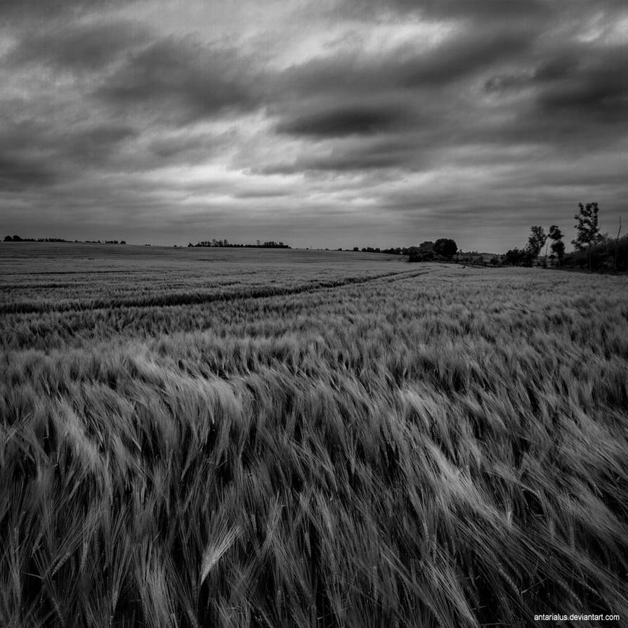 contrasts by antarialus contrasts by antarialus