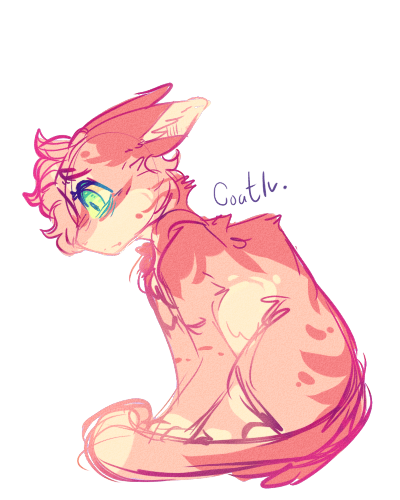 Firepaw Doodle