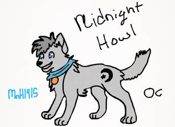 Midnight Howl