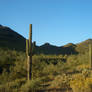 2 - Arizona landscape