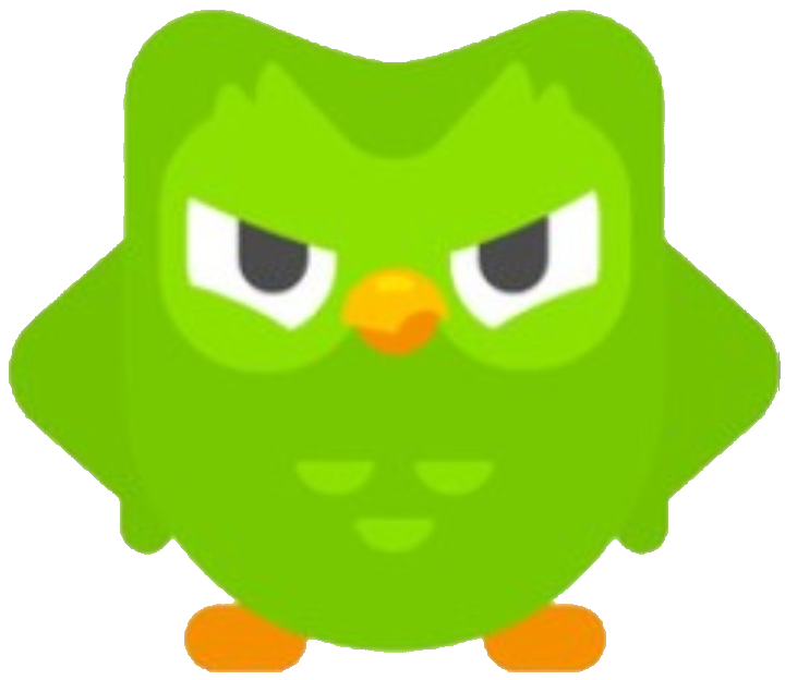 Angry Duolingo (PNG) (Image Belongs To The Owner) by Donatoinklinggamer