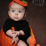 Pumpkin Baby Pie