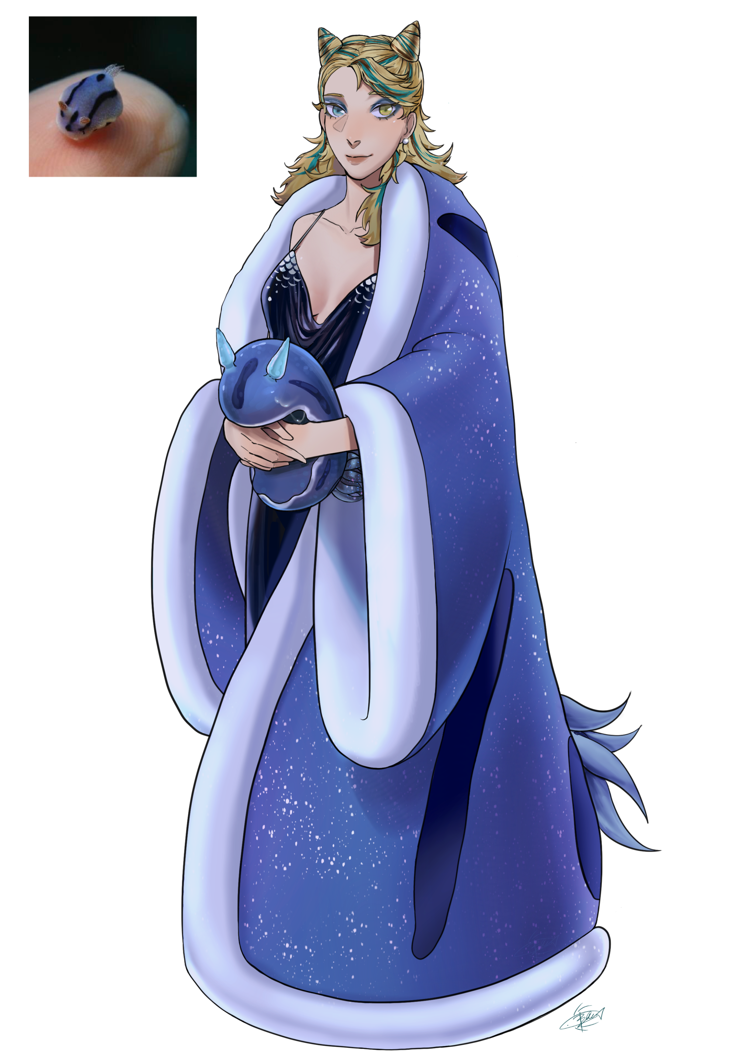 Sea slug