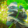No Rain No Flower