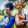 Goku And Vegeta