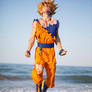 Goku Cosplay