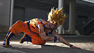 Goku cosplay .:never surrender:.