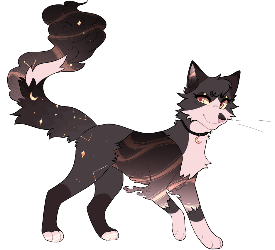 Star Cat Color Star Cat Auction - CLOSED/PENDING by coastalcaptyns on DeviantArt