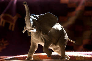 -Elephant-