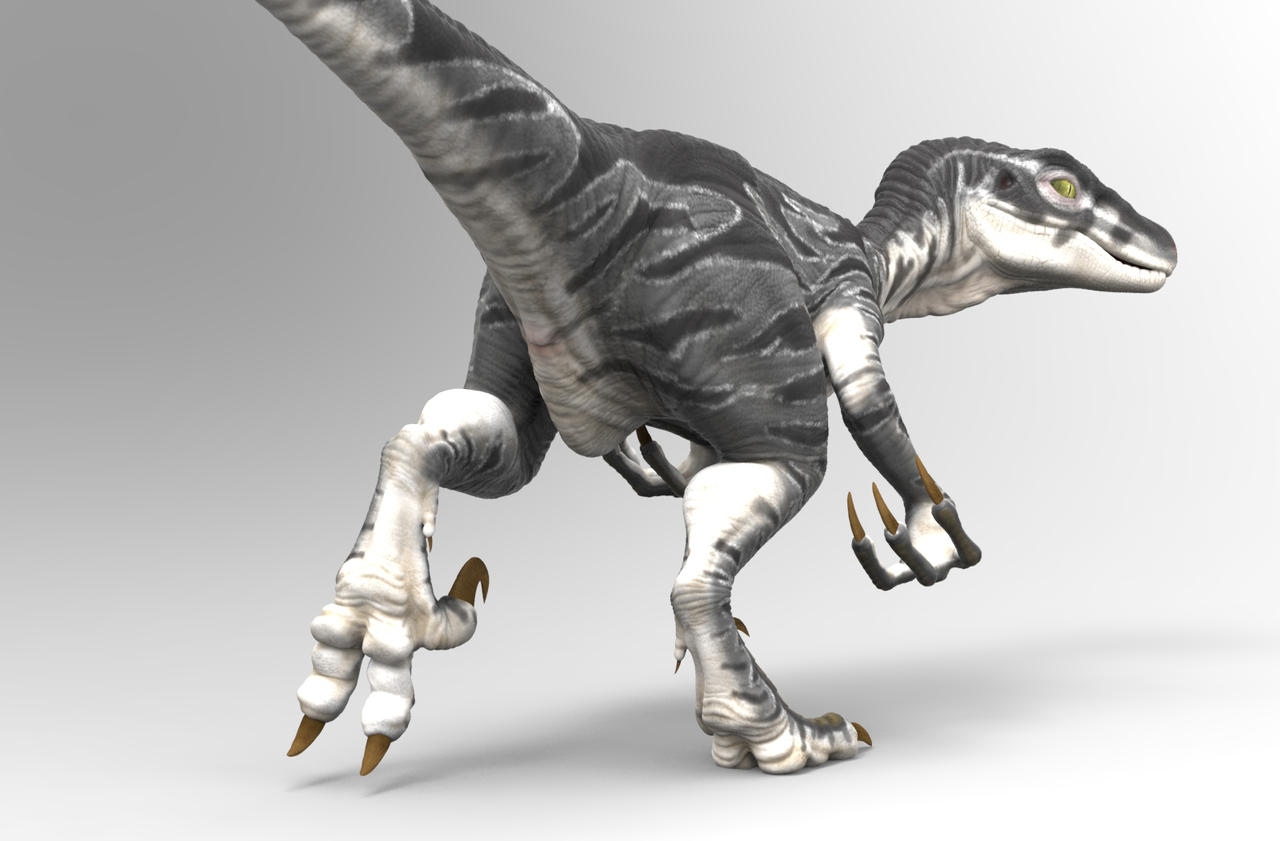 Female raptor by Heliot8 on DeviantArt