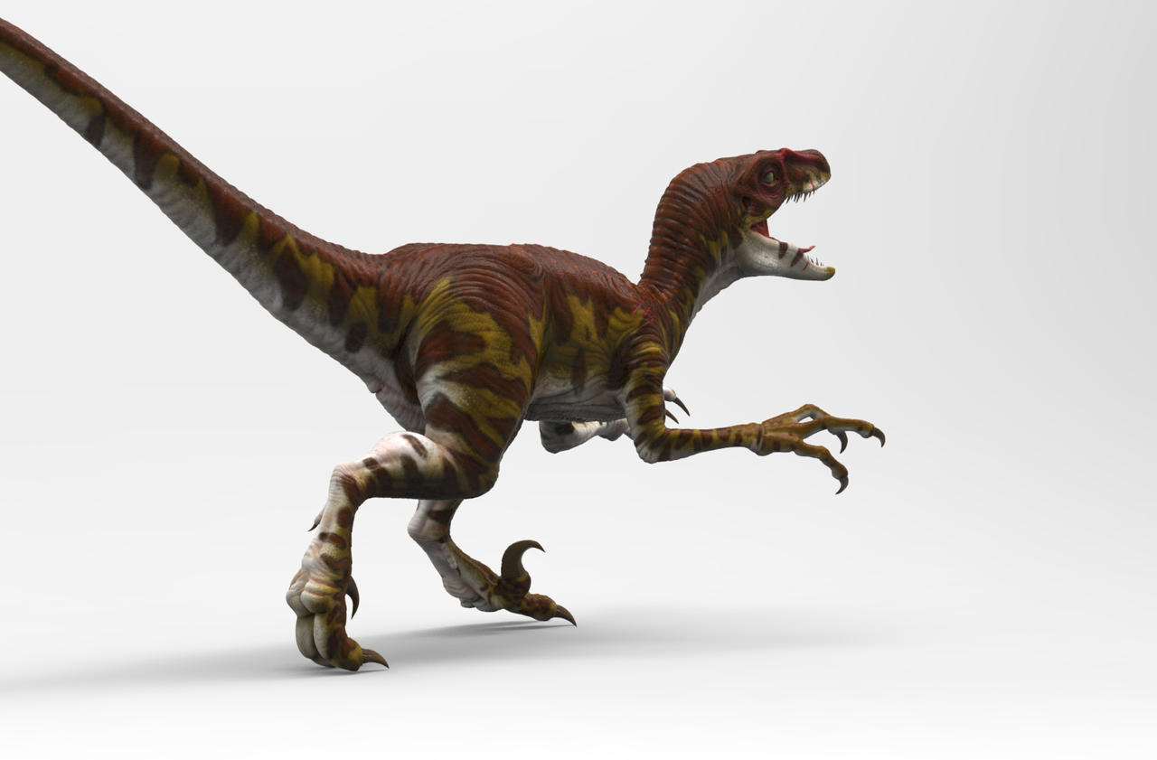 Mann Raptor Male raptor by Heliot8 on DeviantArt