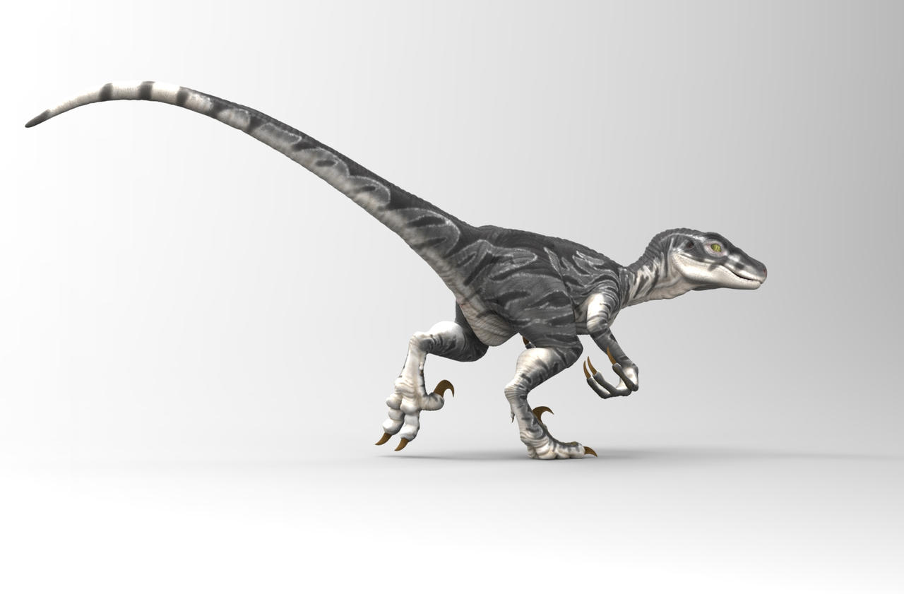 Female Raptor by Heliot8 on DeviantArt