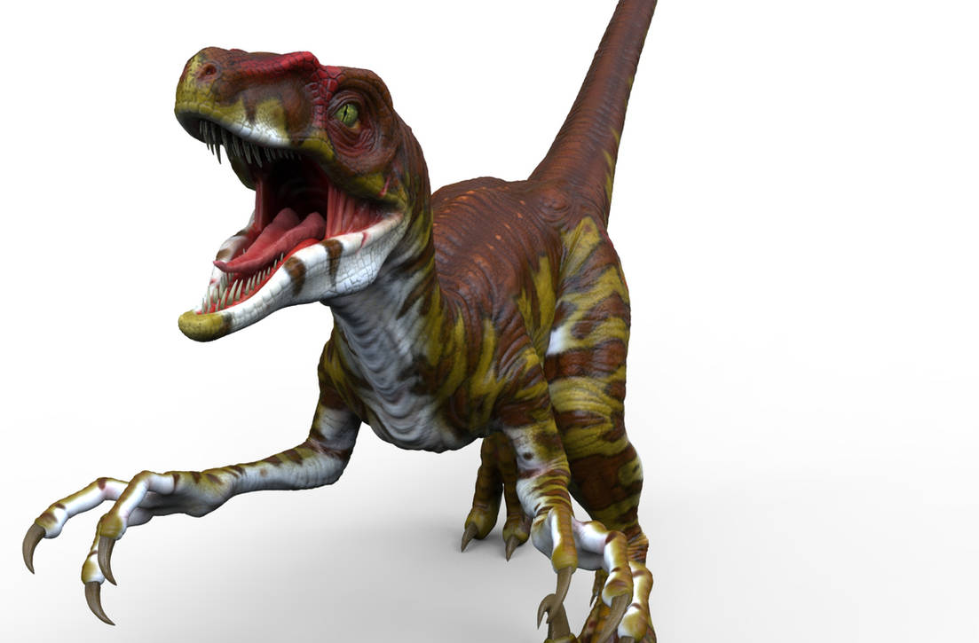 Male raptor by Heliot8 on DeviantArt