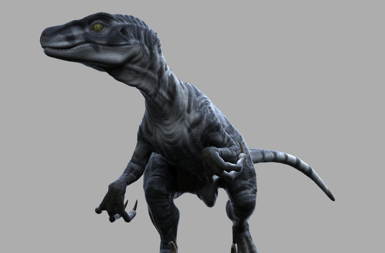 Female raptor by Heliot8 on DeviantArt