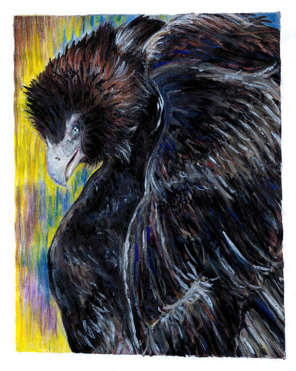 Bashful Raptor BS. Raptor by Jefrma on DeviantArt