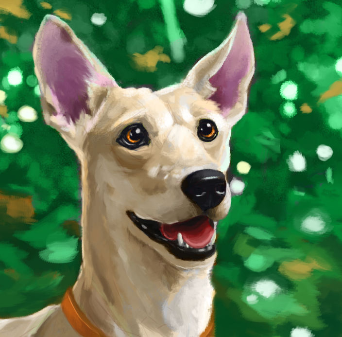 Aspin by PatSevilla on DeviantArt