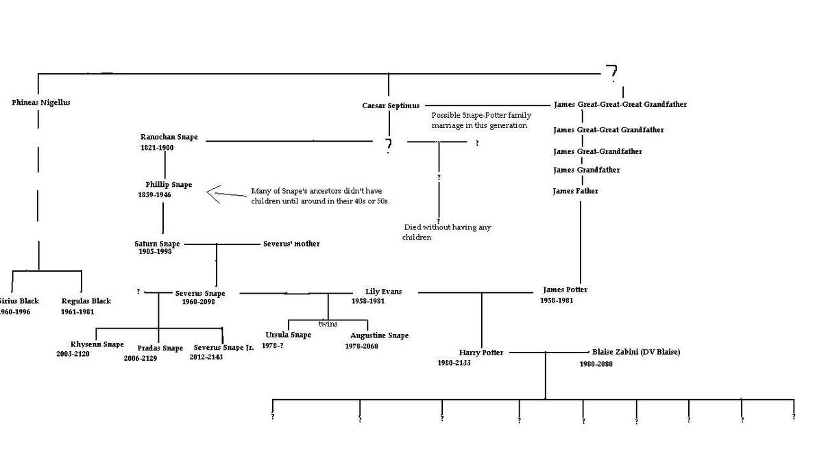 Wizard Family Tree Harry Potter family Tree by WhompingAppleTree on DeviantArt