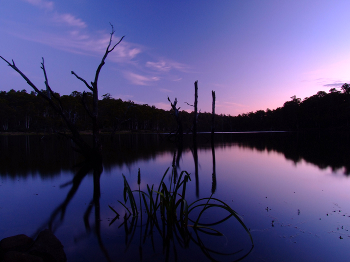 Pine Tier Lagoon 4