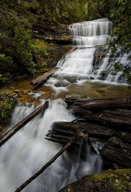 Mt. Field National Park II