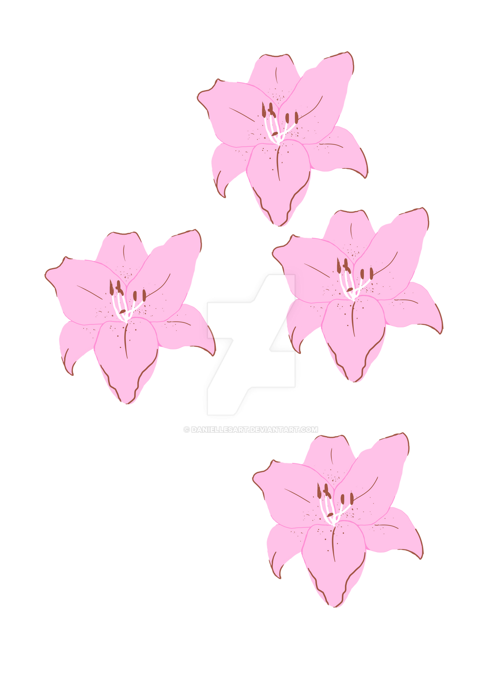 Lilies