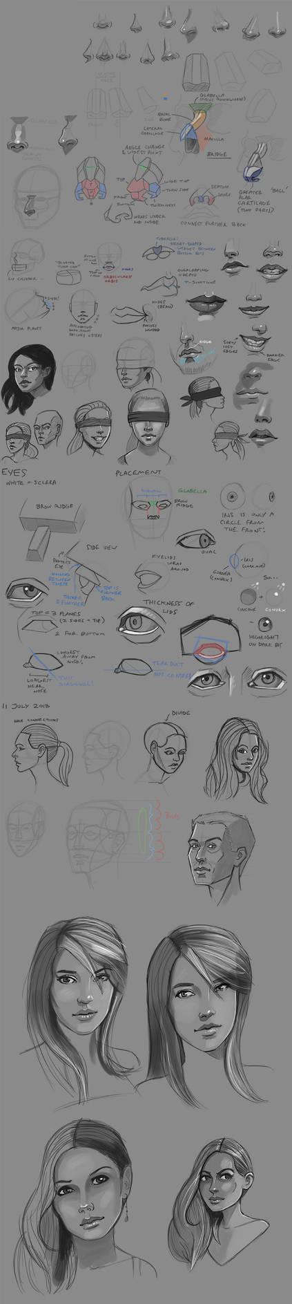 Face Anatomy Studies by Pseudolonewolf on DeviantArt