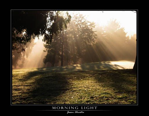 Morning Light