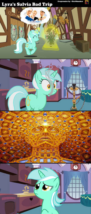 Lyra's Salvia Bad Trip