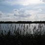 Lyngby Lake 2