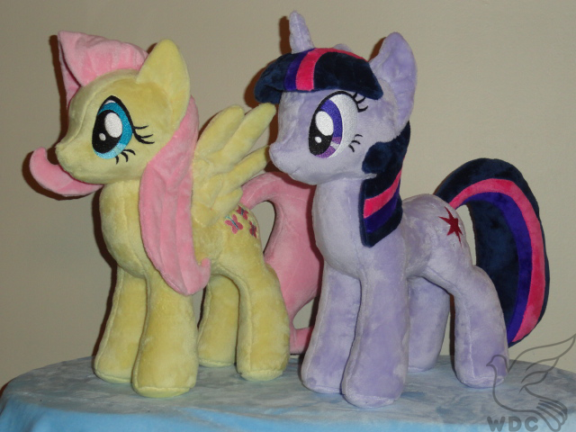 Twilight and Fluttershy