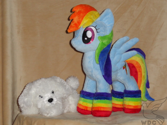 Rainbow Dash in her Socks