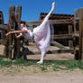 Dancing in the Stables