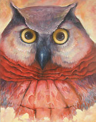 owl