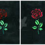 Rose Triptych