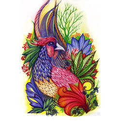 Pheasant-2