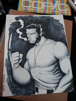 Wolverine timelapse VIDEO using COPIC