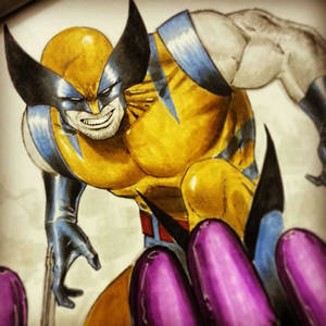 wolverine on xmen blank with copics