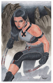 X23 Comission